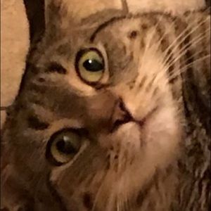 Meet your Posher, Angie